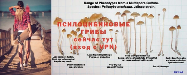 прущая мука Богородицк