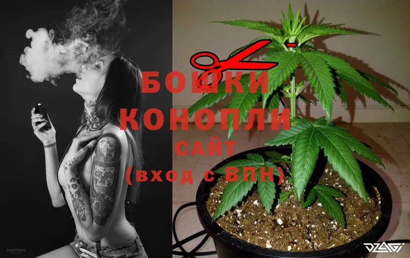 darknet какой сайт  гидра сайт  Кондрово  Конопля White Widow 